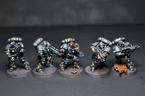 Black Templar Intercessor Team - Dot44 Custom