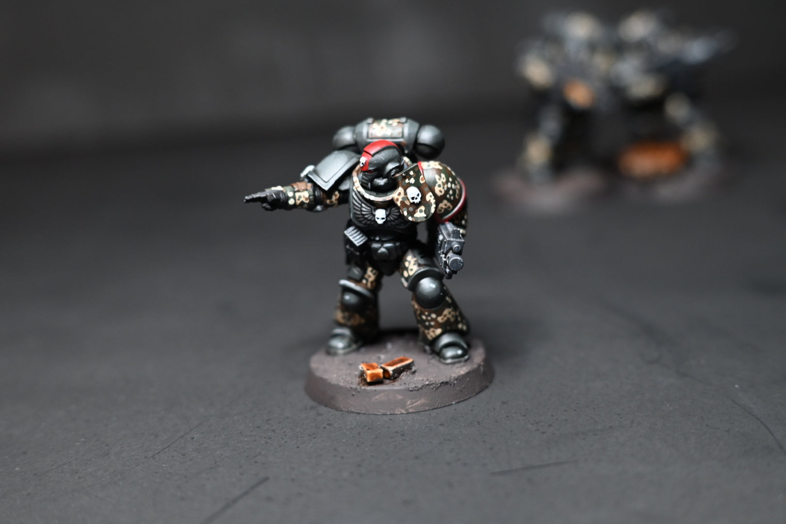 Black Templar Intercessor Team - Dot44 Custom